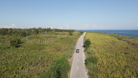 A-Lone-Vehicle-Driving-On-A-Narrow-Road-Along-Lush-Meadows-Heading-Towards-The-Beach-At-Sumba-Island,-Indonesia