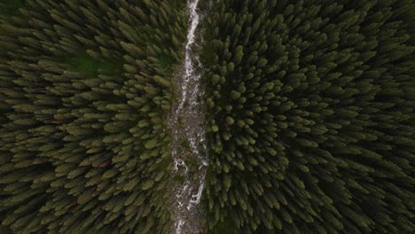 Aerial-top-down-of-stream-between-pine-tree-forest-leading-to-Lake-Moraine-and-mountains-at-Banff-National-Park,-Alberta,-Canada