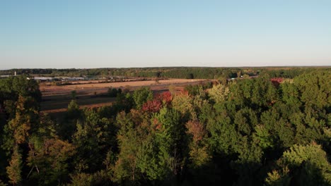 Aerial-drone-flying-over-tree-tops-on-the-outskirts-of-a-dense-forest-during-autumnal-evening