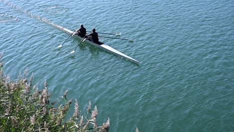 Athletes-rowing-on-the-Rhone,-reeds-on-the-shore,-morning