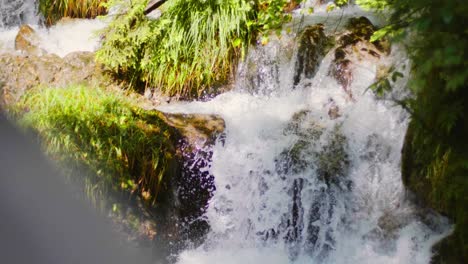 Nahaufnahme-Kleiner-Wasserfall-In-Einem-Wald-Mit-Moos-Und-Gras-Herum