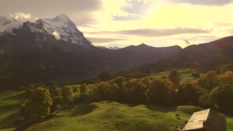 aerial-drone-footage-pushing-in-over-alpine-meadows-and-sycamore-maple-trees-towards-Eiger-North-Face,-Autumn