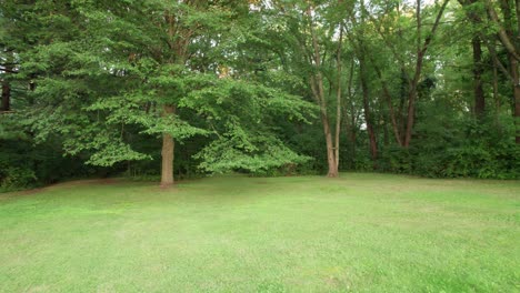 Tiro-De-Retroceso-De-Hermosa-Reserva-Verde,-Plantación-De-árboles-únicos,-Ohio,-Estados-Unidos