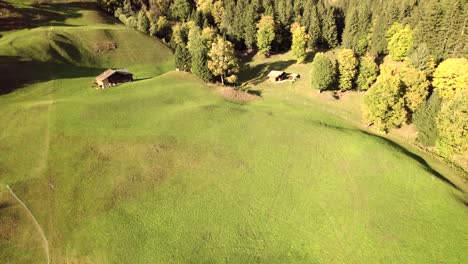 aerial-drone-footage-pushing-in-over-alpine-meadows-and-spruce-trees-in-Switzerland