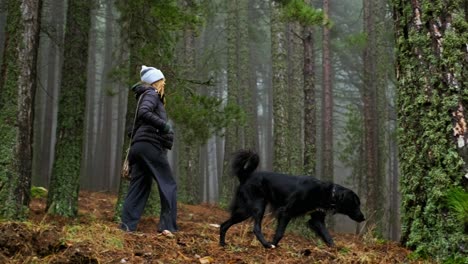 Woman-walks-in-the-green-forest-with-her-black-dog,-enjoying-and-spending-time-together-in-nature
