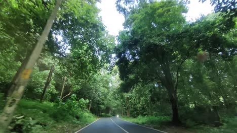 Driving-in-car-pov-shot-through-forest-road-in-Kerala-India