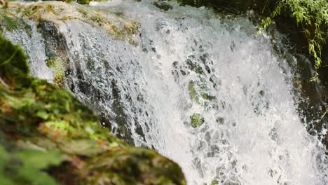 Close-up-small-waterfall-in-a-forest-with-moss-and-grass-around