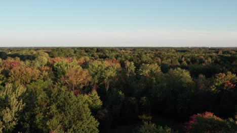Aerial-drone-flying-over-dense-green-forest-during-an-autumn-season-with-colorful-trees-during-evening-time