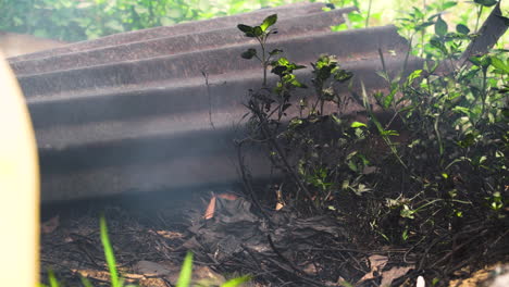 Fumes-and-soot-from-old-gasoline-water-pump-polluting-plants-on-plantation-in-Vietnam
