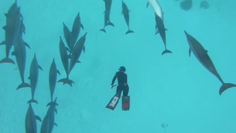 Buzo-Nadando-En-El-Mar-Rojo-Con-Un-Enjambre-De-Delfines