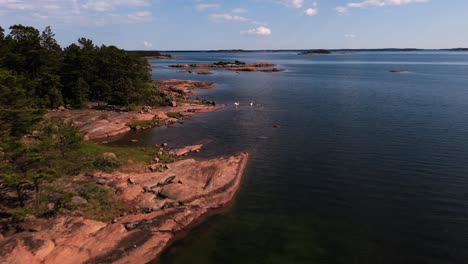 Aerial-view-over-swans-on-the-rocky-coast-of-Aland-islands,-summer-day-in-Finland---rising,-drone-shot---Cygnus