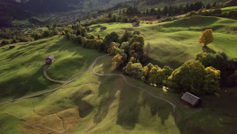 aerial-drone-footage-over-alpine-meadows-and-sycamore-maple-trees-in-fall
