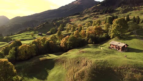 Luftaufnahmen-Von-Drohnen-Von-Links-Nach-Rechts,-Die-über-Alpine-Wiesen-In-Grindelwald,-Schweiz,-Fliegen