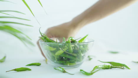 Close-up-shot-of-green-chilli-been-collected-in-a-glass-bowl-by-female-hands-on-white-background