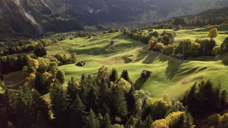 aerial-drone-footage-pushing-in-over-alpine-meadows-in-autumn,-Grindelwald,-Switzerland