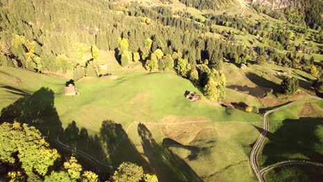 Drohnenaufnahmen-Aus-Der-Luft,-Die-In-Herbstlichen-Farben-über-Alpine-Wiesen-Fliegen