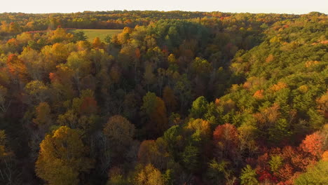 Cinematic-aerail-shot-of-an-autumn-forest-in-Hocking-Hills-in-Logan,-Ohio