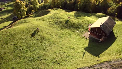 Luftaufnahmen-Von-Drohnen,-Die-Im-Herbst-über-Alpine-Wiesen-In-Den-Schweizer-Alpen-Drängen