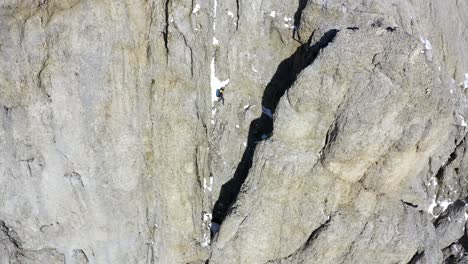 Aerial-tilt-up-shot-showing-extreme-hiker-climbing-on-scarp-of-mountain-Marmolada-during-sunlight