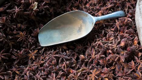 Within-a-sack,-a-metal-scoop-rests-on-top-of-Illicium-Verum-seeds-for-sale-at-a-local-spice-shop