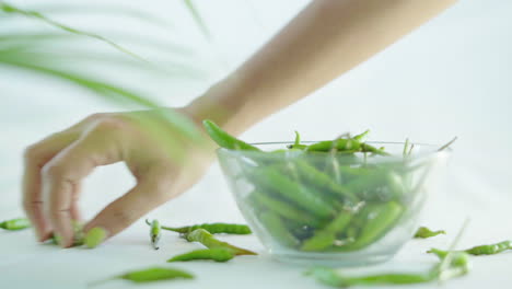 Close-up-shot-of-green-chilli-falling-into-a-glass-bowl-and-remaining-been-collected-by-hands-on-a-white-background