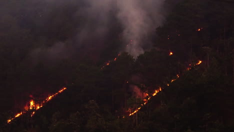 Incendio-Forestal-Masivo-Que-Destruye-El-Bosque-De-Montaña-Por-La-Noche-En-Vietnam