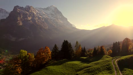 aerial-drone-footage-pushing-in-over-spruce-and-sycamore-trees-revealing-view-of-Grindelwald-and-Eiger-North-Face,-Switzerland