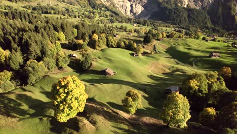 Luftdrohnenaufnahmen,-Die-In-Herbstfarben-über-Alpenwiesen-Drängen,-Grindelwald,-Schweiz
