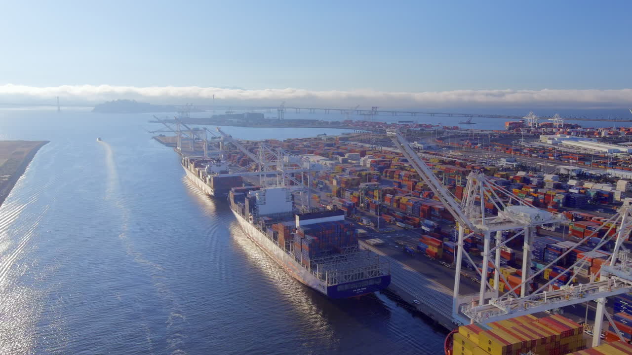 Vídeo Premium - Vista aérea de buques de carga y grúas en el puerto de