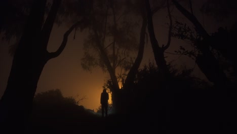 Man-with-a-torch-walks-from-a-forest-towards-the-city-searching-for-something-in-a-foggy-night