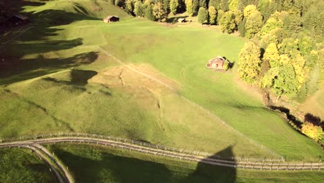 Luftaufnahmen-Von-Drohnen,-Die-über-Idyllische-Almwiesen-Drängen