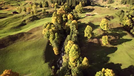 Luftdrohnenaufnahmen,-Die-über-Einen-Bergbach-Mit-Platanenahornbäumen-In-Der-Schweiz-Drängen