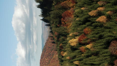 Scenic-mountain-forest-changing-to-autumn-color