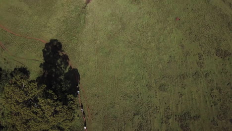 4k-drone-view-of-a-group-of-hikers-walking-along-a-greenway-in-Kenya