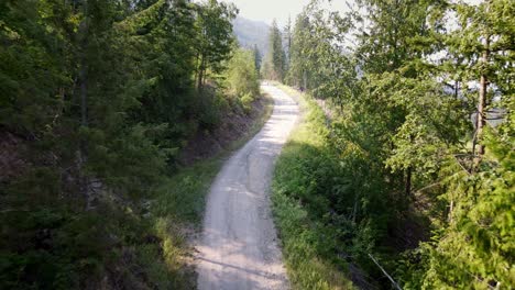 Camino-Forestal-Vacío-Que-Conduce-A-La-Ladera-De-Una-Montaña-Cubierta-Por-Un-Bosque-Mixto