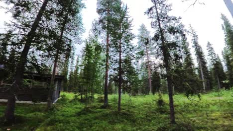 Pan-Right-Timelapse-View-Across-Log-Cabin-In-Dense-Woodland-Forest-In-Sweden