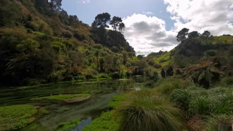 Green,-lush-hills-overgrown-by-typical-New-Zealand-flora-and-a-crystal-clear-river-flowing-in-between