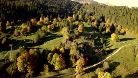 Imágenes-Aéreas-De-Drones-Empujando-Sobre-Prados-Alpinos-Y-Arces-Sicómoros-En-Impresionantes-Colores-De-Otoño-En-Grindelwald,-Suiza