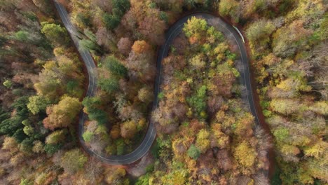 Aerial-view-of-a-winding-road-in-the-beautiful-fall-season,-smooth-dynamic-zoom-in