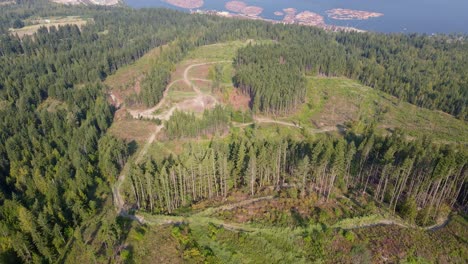 Aerial-view-revealing-a-partially-logged-forest-and-mountains-around-a-blue-lake-in-hazy-conditions-due-to-regional-wildfires