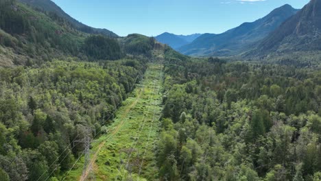 Aerial-view-of-utility-cables-passing-through-Washington-State's-dense-forests