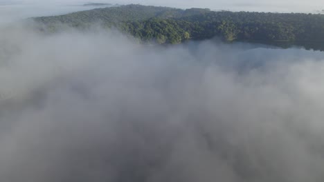 Foggy-Landscape-At-Lake-Barrine-In-The-Tablelands-Region-Of-Far-North-Queensland,-Australia---aerial-drone-shot