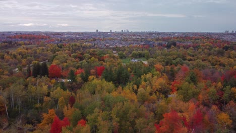 Orbit-Luftbild-Von-Wäldern-Und-Bäumen-An-Einem-Trüben,-Launischen-Herbsttag