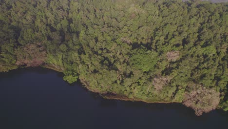 Lush-Rainforest-Surrounding-Lake-Barrine-In-Atherton-Tableland,-Far-North-Queensland,-Australia---aerial-shot