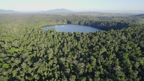 Volcanic-Lake-Eacham-Surrounded-With-Lush-Rainforest-In-North-Queensland,-Australia---aerial-drone-shot