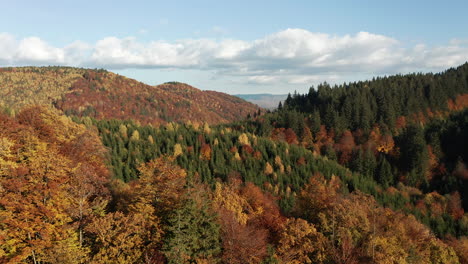 Aerial-view-of-mountain-forest-in-beautiful-autumn-color