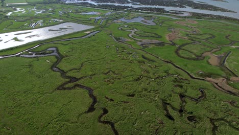 Winding-Rivers-in-Swampy-Coastal-Marshes-of-Tollesbury,-Essex,-UK---Aerial