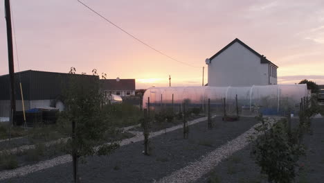 Sunset-on-small-greenhouse-and-farm