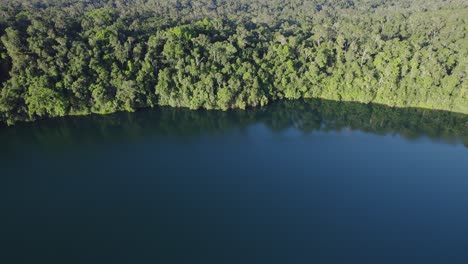 Lush-Rainforest-Reflecting-On-The-Tranquil-Water-Of-Lake-Eacham-In-Atherton-Tableland,-Queensland,-Australia---aerial-shot