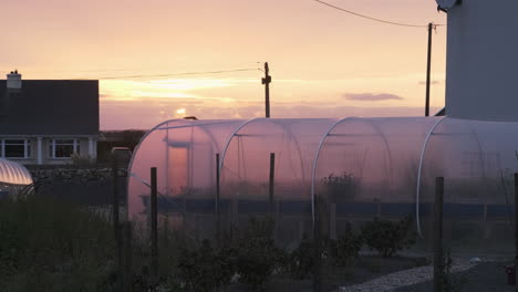 Beautiful-Sunset-on-Small-Greenhouse